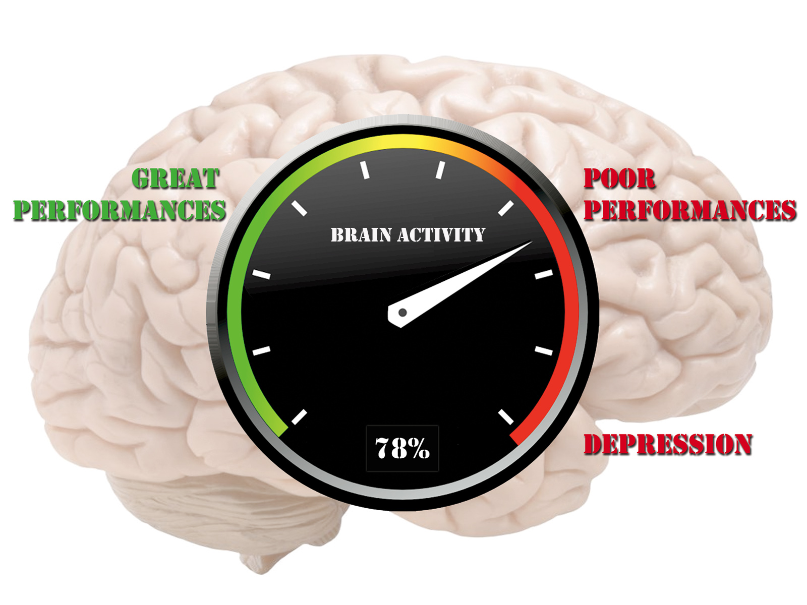 Impact of anxiety on a human brain - Mind Fitness Inc.